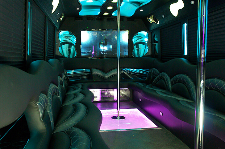 Party Bus for Sale